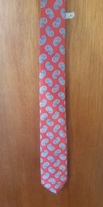 Strathmore Paisley necktie